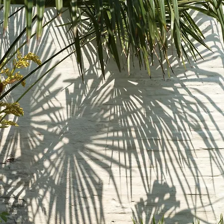 Bed & Breakfast Koto Garden 5*